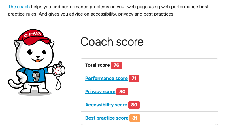 Screenshot showing the coach scoring our website.
